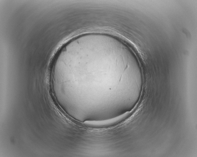 X0000115791506200912041502