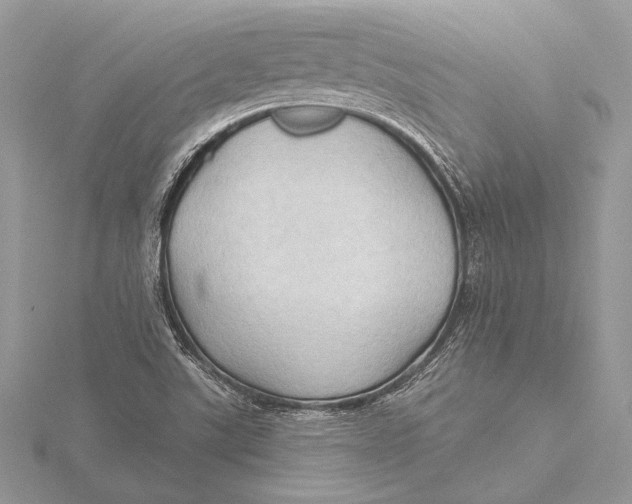 X0000115791507200912041502