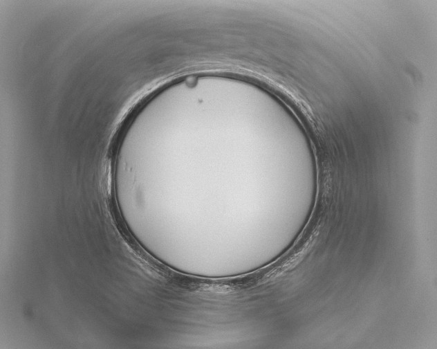 X0000115791509200912041502