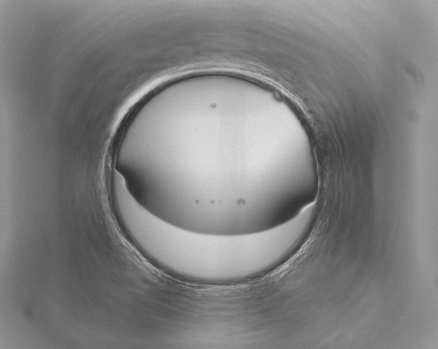 X0000115791510200912041502