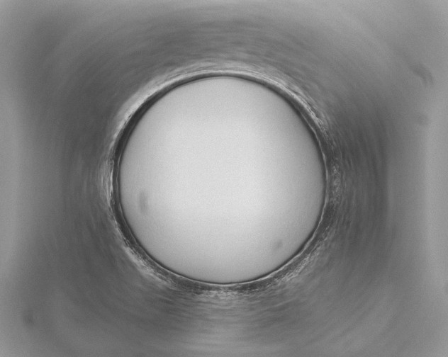 X0000115791511200912041502