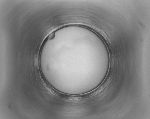 X0000115791513200912041502