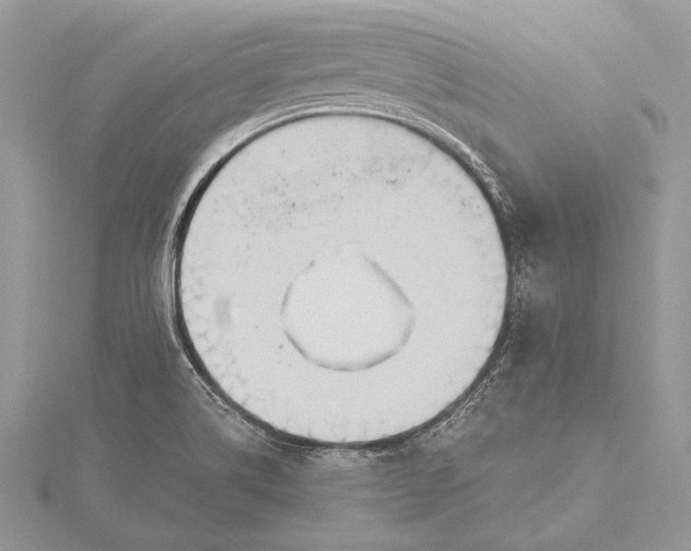 X0000115791514200912041502