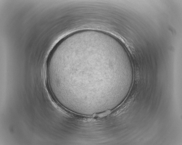 X0000115791515200912041502