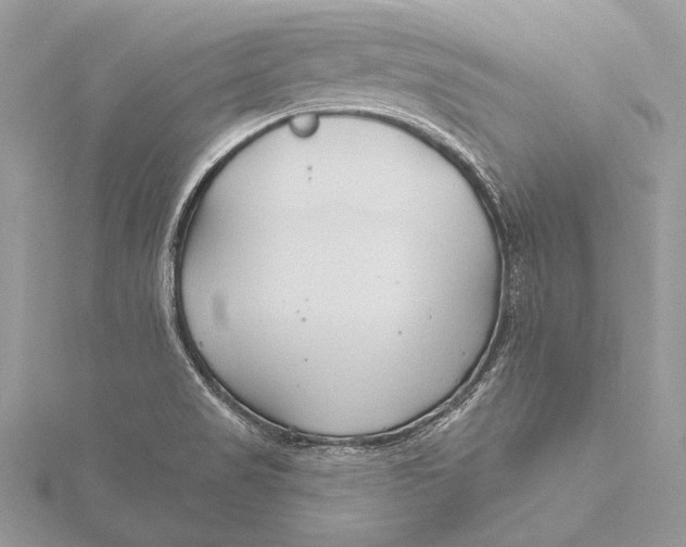 X0000115791517200912041502