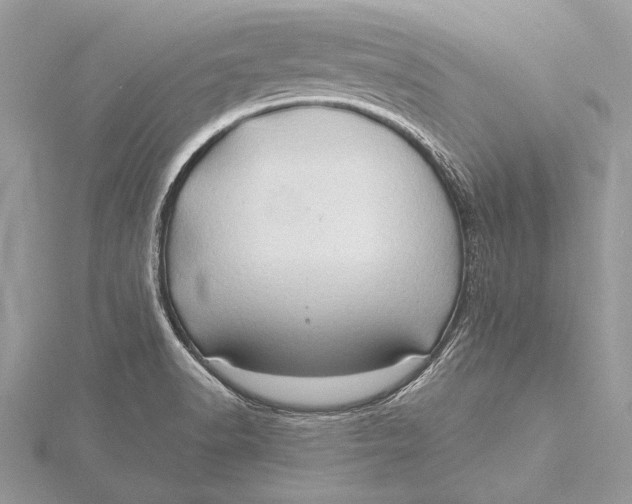 X0000115791518200912041502