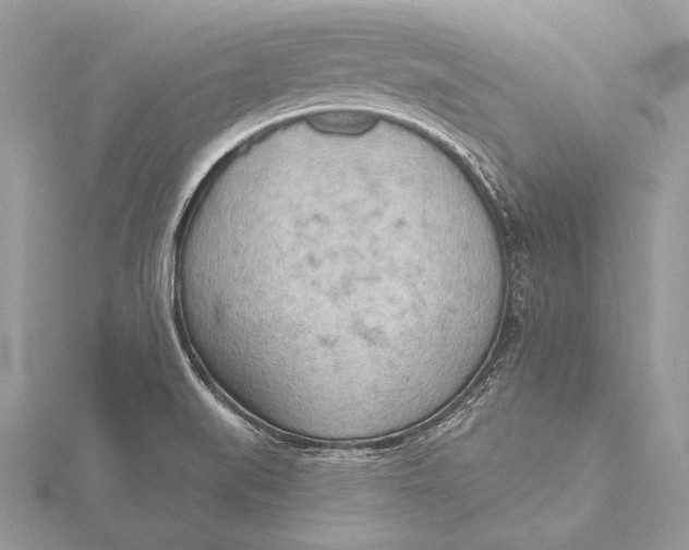 X0000115791519200912041502