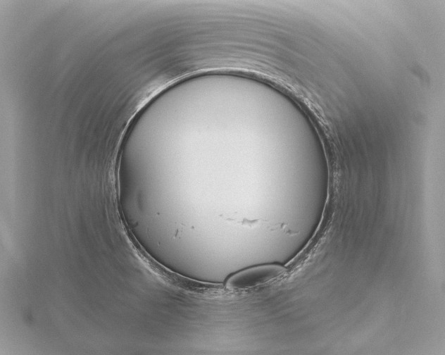 X0000115791521200912041502