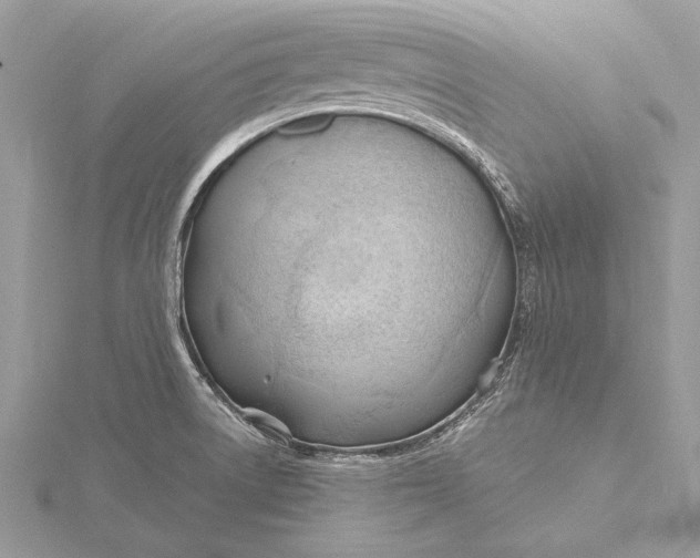 X0000115791522200912041502