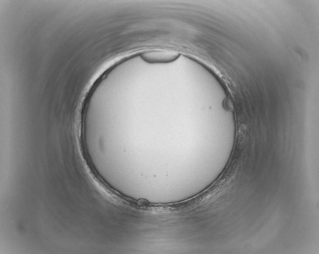 X0000115791523200912041502