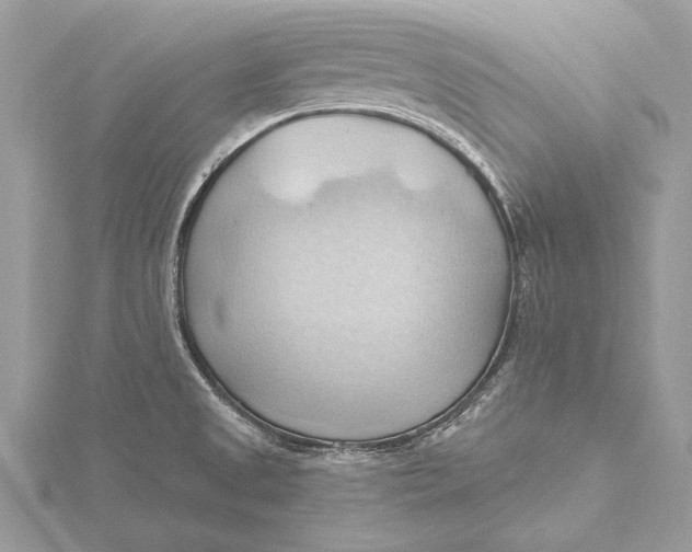 X0000115791525200912041502