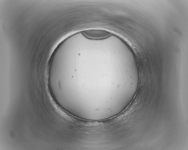 X0000115791526200912041502