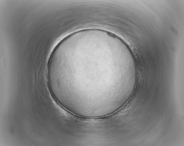 X0000115791527200912041502