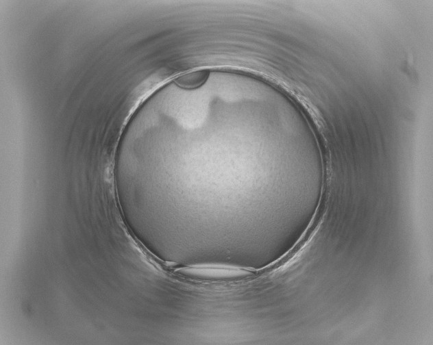 X0000115791529200912041502