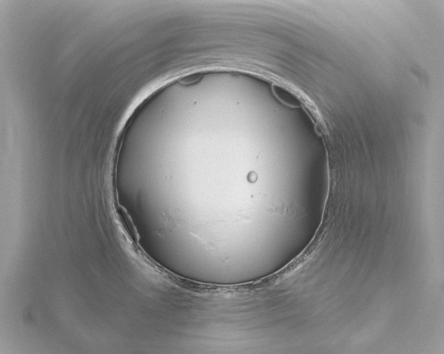 X0000115791530200912041502