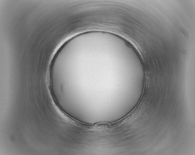 X0000115791531200912041502