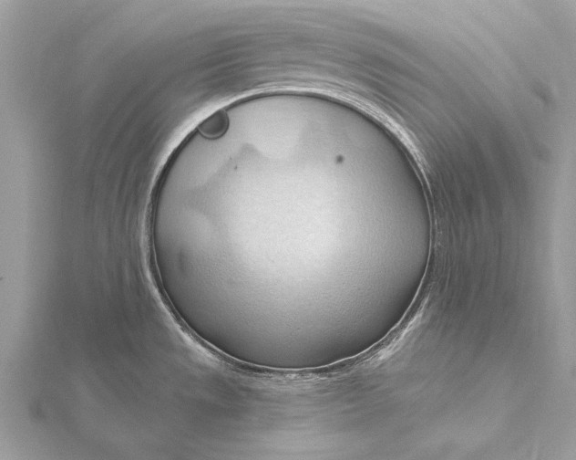 X0000115791533200912041502