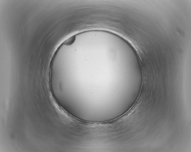 X0000115791534200912041502