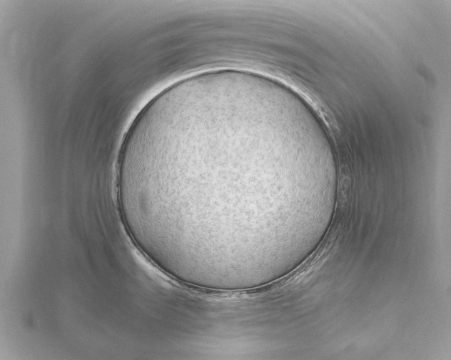 X0000115791535200912041502