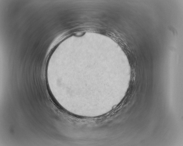 X0000115790004200912111158