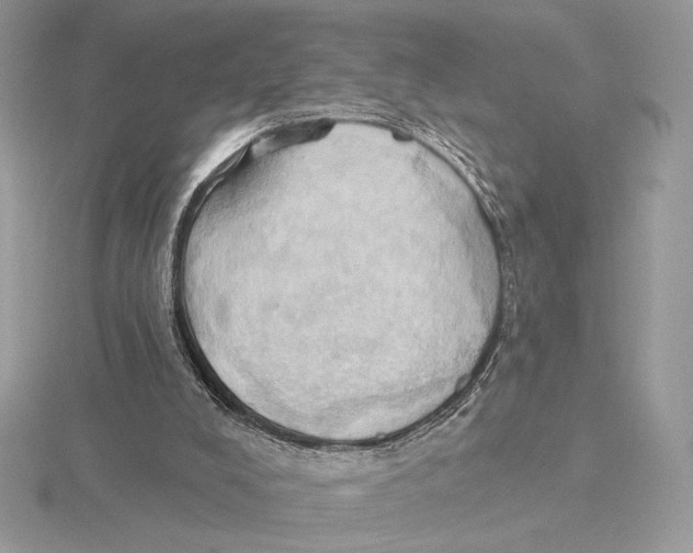 X0000115790008200912111158
