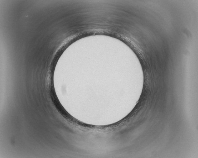 X0000115790016200912111158