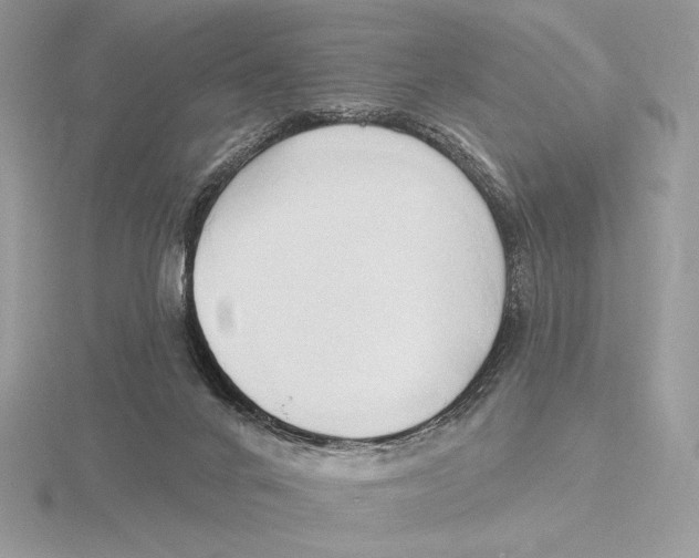 X0000115790024200912111158