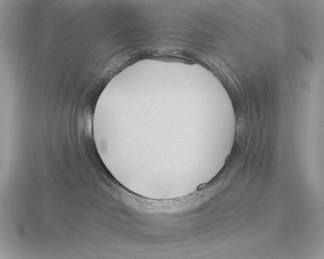 X0000115790046200912111158