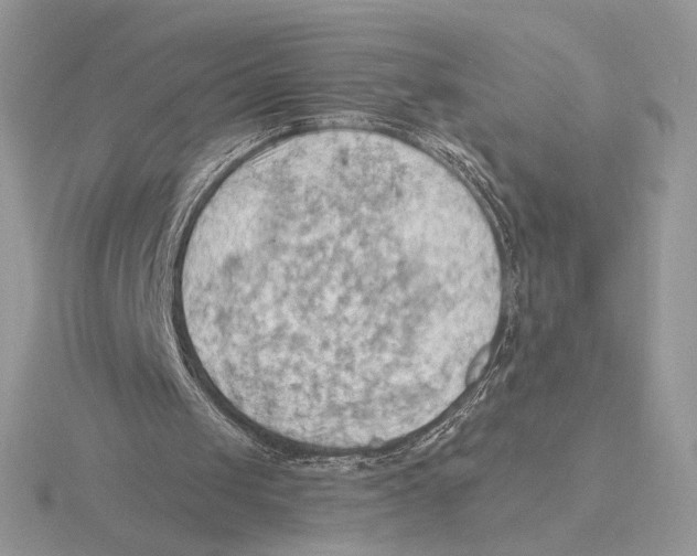 X0000115790049200912111157