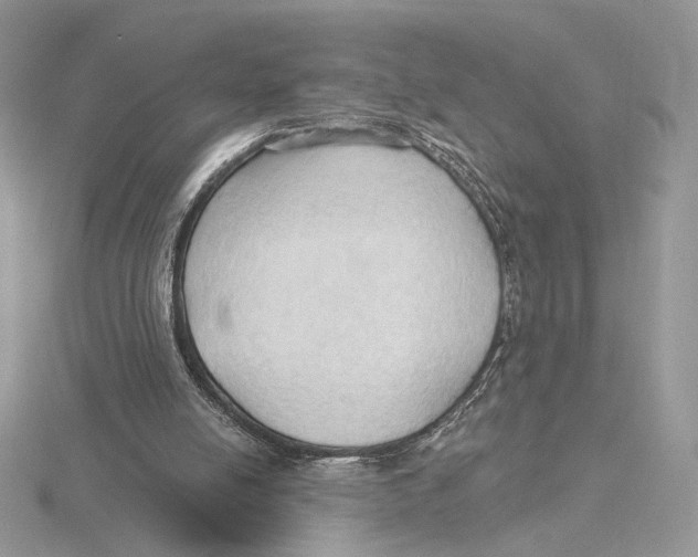 X0000115790054200912111157