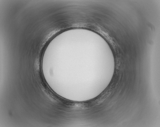 X0000115790060200912111157
