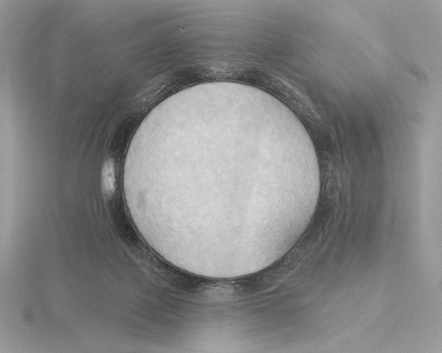 X0000115790075200912111157