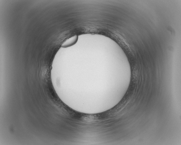X0000115790079200912111157