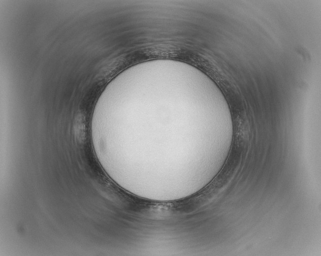 X0000115790080200912111157
