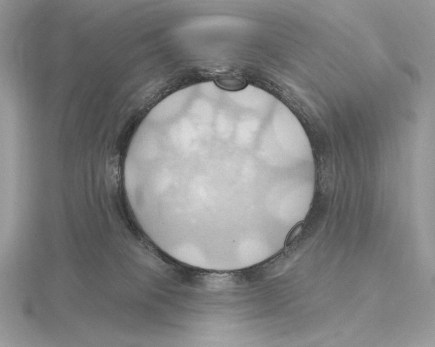 X0000115790085200912111157