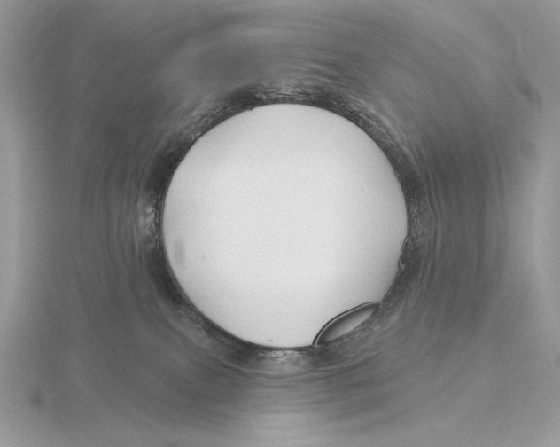 X0000115790087200912111157