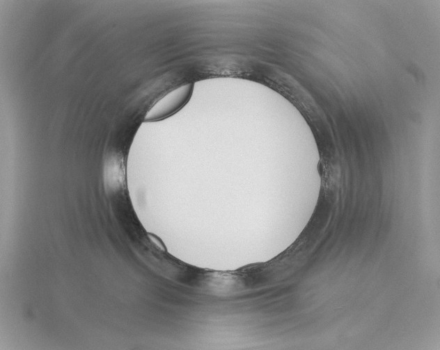 X0000115790095200912111158