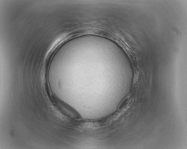 X0000115790101200912111157