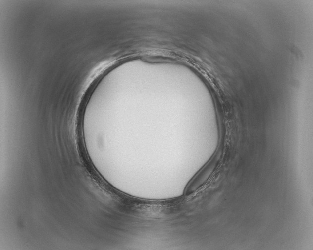 X0000115790104200912111157