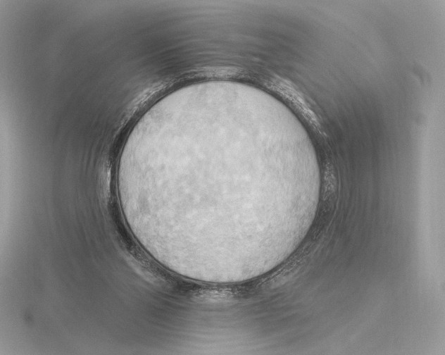 X0000115790110200912111157