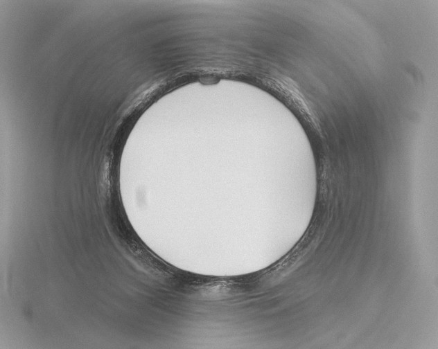 X0000115790116200912111156
