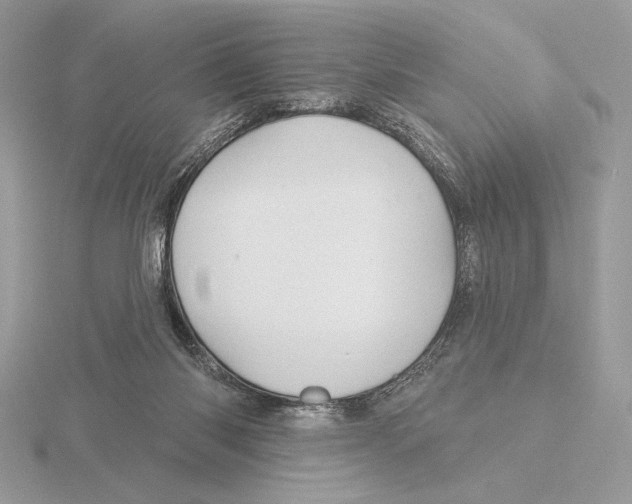 X0000115790118200912111156