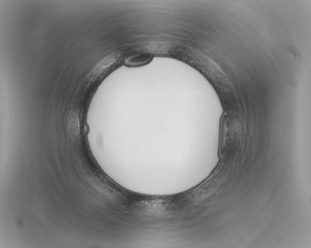 X0000115790120200912111156