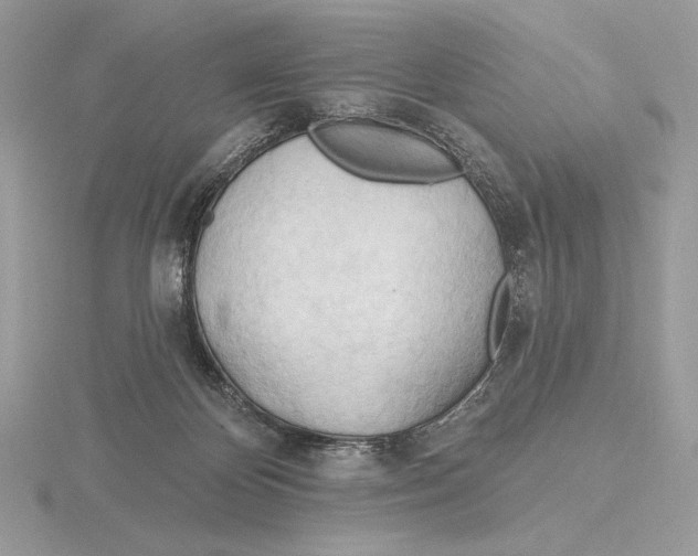 X0000115790124200912111156