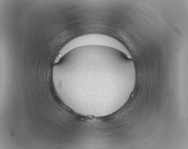 X0000115790125200912111156