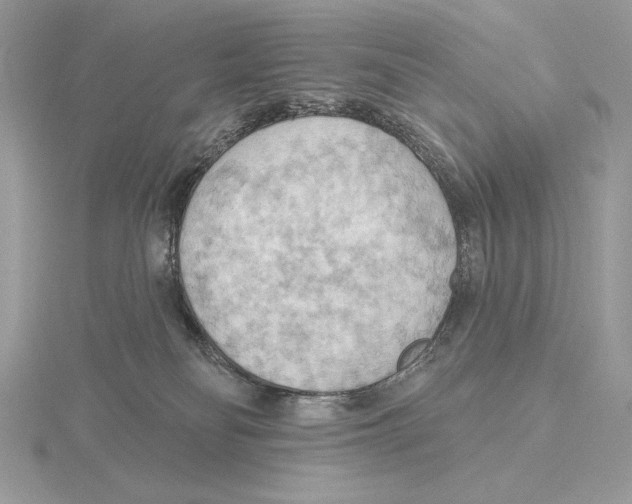 X0000115790134200912111156