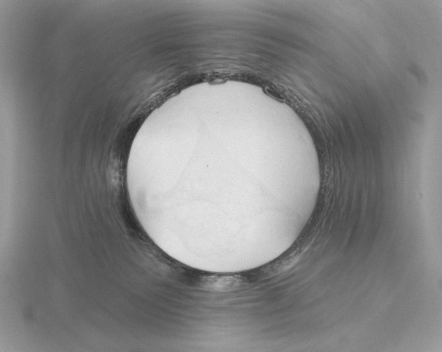 X0000115790135200912111156