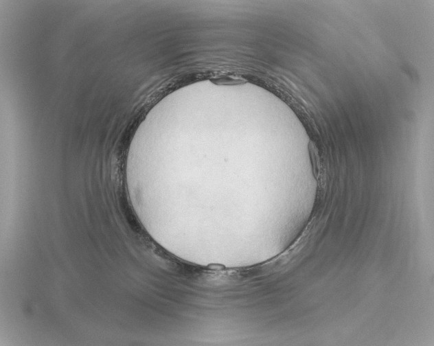 X0000115790136200912111156