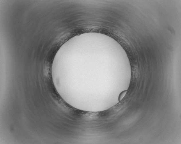 X0000115790138200912111156