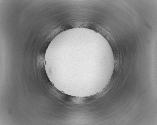 X0000115790142200912111156